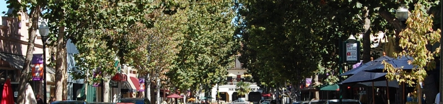 Shopping District